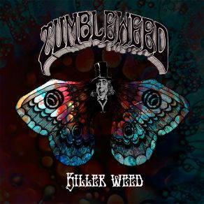 Download track Sundial Tumbleweed