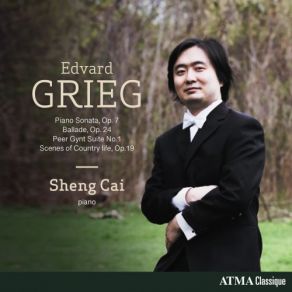 Download track Piano Sonata In E Minor, Op. 7 II. Andante Molto Sheng Cai