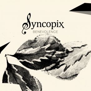 Download track Peaceful Warrior Syncopix