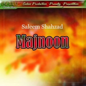 Download track Mosam Barsat Mare Saleem Shahzad