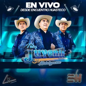 Download track El Cerillazo (En Vivo) Trio Juvenil Hidalguense