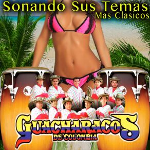 Download track La Pantera Rosa Guacharacos De Colombia