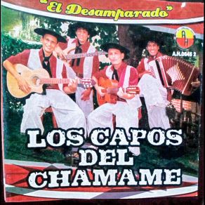 Download track Por Vos Vendí Mi Vaquita Los Capos Del Chamamé