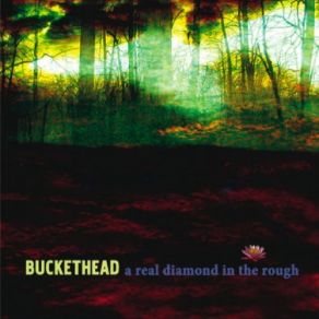 Download track A Real Diamond In The Rough Buckethead