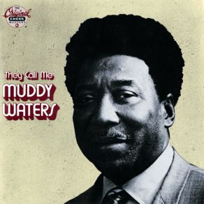 Download track County Jail (Live) Muddy Waters