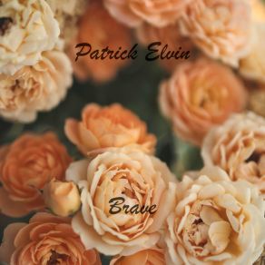 Download track Just Light Patrick Elvin