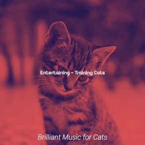 Download track Joyful (Kittens) Brilliant Music For Cats