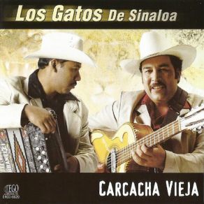 Download track Arpa Vieja Los Gatos De Sinaloa