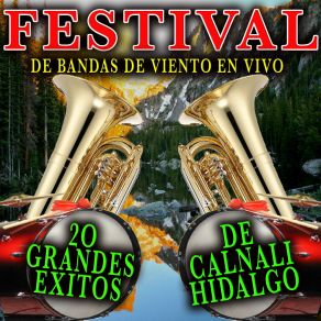 Download track El Chapulin Festival De Bandas Calnali