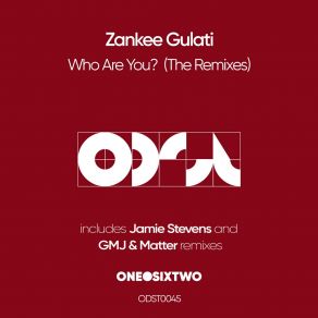 Download track Who Are You (Jamie Stevens Remix) Zankee GulatiJamie Stevens