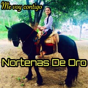 Download track Un Hombre Normal Nortenas De Oro