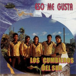 Download track El Dinero No Es Todo Los Cumbieros Del Sur