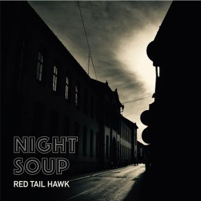 Download track Busted Red Tail Hawk