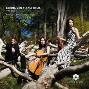 Download track Piano Trio In G Major, Op. 1 No. 2 III. Scherzo. Allegro Trio Con, Brio Copenhagen