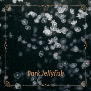 Download track Dark Jellyfish N°2 Astrolovers