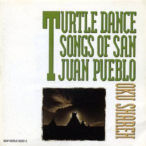 Download track Third Turtle Dance Song Peter Garcia