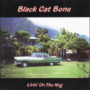 Download track Heart And Soul Black Cat Bone