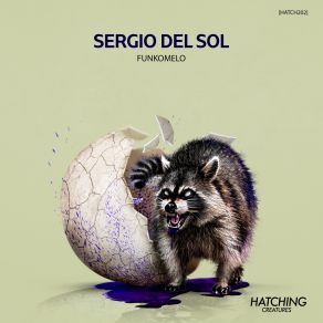 Download track Funkotron Sergio Del Sol