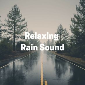 Download track Rain For City Walks, Pt. 10 The Sound Of The Rain