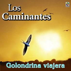 Download track Golondrina Viajera Los Caminantes