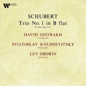 Download track Schubert: Piano Trio No. 1 In B-Flat Major, Op. 99, D. 898: II. Andante Un Poco Mosso David Oistrakh