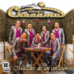 Download track La Muchacha De Los Ojos Tristes Grupo Checame