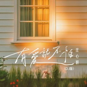 Download track 有爱就不怕 (1.2X加速版) Zhuang Xin Yan