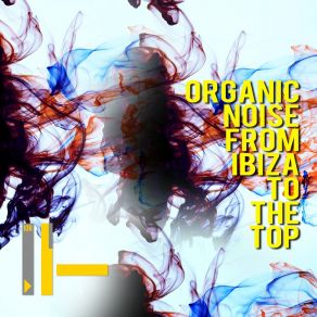 Download track To The Top Organic Noise From Ibiza