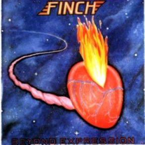 Download track Beyond The Bizarre Finch (NLD)