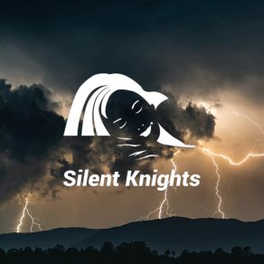 Download track Storm For Heavy Sleep The Silent KnightsDylan Barnes, Rob Davy, Mark Dowling