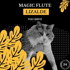 Download track Magic Flute (Radio Edit) LIZALDE