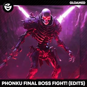 Download track FINAL BOSS FIGHT! (Slowed) Phonku