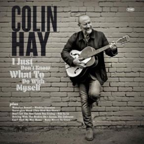 Download track Norwegian Wood (This Bird Has Flown) Colin Hay