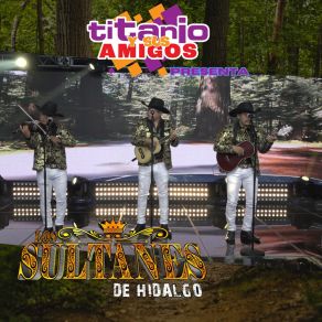 Download track Petrita Los Sultanes De Hidalgo