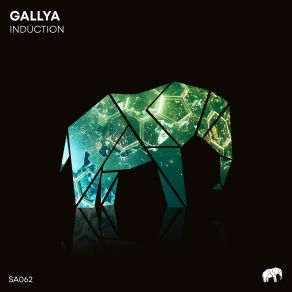 Download track The 5th Dimension (Original Mix) Gallya