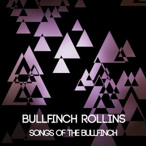 Download track Tony's Got New Slacks (Dream Sequence) Bullfinch Rollins