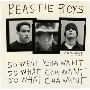 Download track So What'Cha Want (Butt Naked Version) Beastie Boys