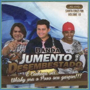 Download track Recaídas (Ao Vivo) Banda Jumento Desembestado